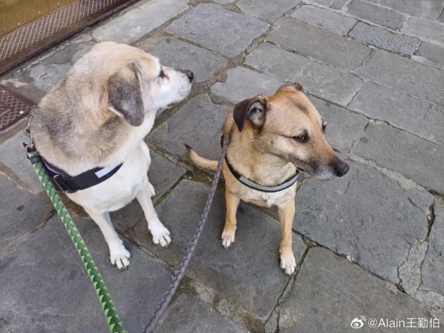 1725789721591055612.jpg 1725789467012.jpg