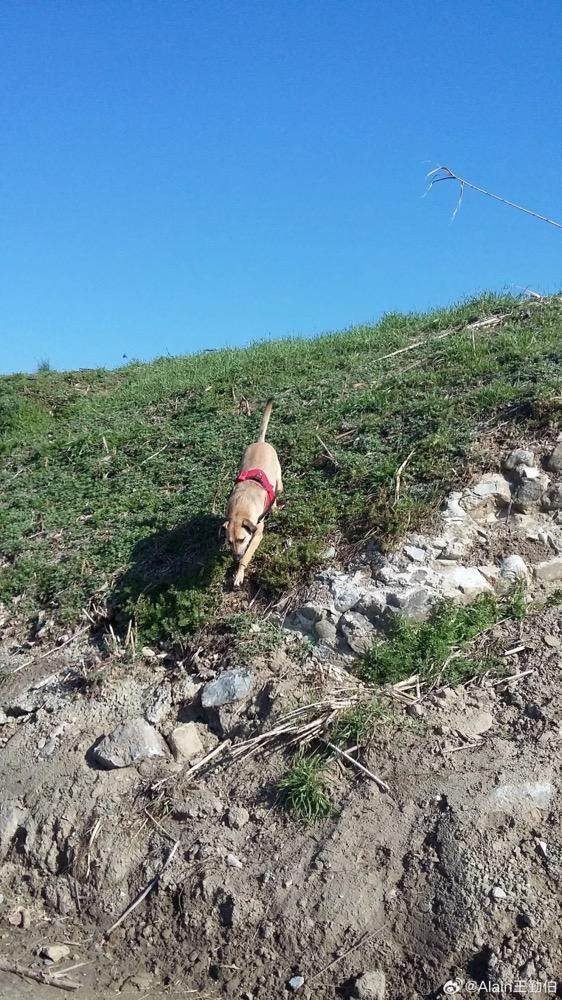 1725789756031087708.jpg 1725789480749.jpg